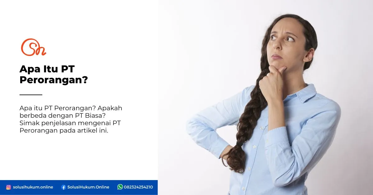 Apa itu PT Perorangan